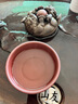 西湖美人綠茶明前特級(jí)龍井茶2025新茶葉禮盒250g春茶送長(zhǎng)輩領(lǐng)導(dǎo)教師禮物品 曬單實(shí)拍圖