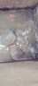 外塘公雄甲魚(yú)活體鮮活食用活物小甲魚(yú)苗用團魚(yú)中華鱉母甲魚(yú) 7-8兩 外塘小甲魚(yú)【10只】 曬單實(shí)拍圖