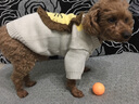嬉皮狗（hipidog）秋冬季狗狗中小型犬可愛(ài)小獅子毛衣博美比熊貓咪針織衫寵物狗衣服 邁洛灰 M 5-8斤 曬單實(shí)拍圖
