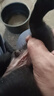 麥基樂純黑犬土獵犬霸氣中華田園犬活體看家護院犬忠誠護主幼犬 寵物級 幼年犬(45日齡-12月齡) 純黑犬 公 曬單實拍圖