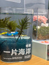 植季一片海洋微景觀(guān)棕櫚莫斯水培植物辦公室綠植室內盆栽diy手工禮物 一片海洋 曬單實(shí)拍圖