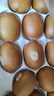 佳沛（zespri）陽(yáng)光金奇異果黃心獼猴桃新西蘭進(jìn)口巨無(wú)霸當季新鮮水果禮盒 22枚【精美禮盒】家庭裝 大果（單果115-126g） 曬單實(shí)拍圖