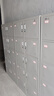 異彩年華鋼制四門(mén)更衣柜員工鐵皮儲物柜子帶鎖宿舍六門(mén)換衣存包柜工廠(chǎng)鞋柜 十門(mén)更衣柜(整體發(fā)貨，破損包賠) 經(jīng)濟款 曬單實(shí)拍圖