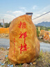 黃蠟石景觀(guān)石自然石招牌石大型校園校訓石風(fēng)水石戶(hù)外大石頭刻字石 選石咨詢(xún)客服 曬單實(shí)拍圖