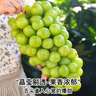 閩農(nóng)語果陽光玫瑰葡萄新鮮晴王無籽香印提子當季新鮮水果整箱送禮綠葡萄 凈重3斤 優(yōu)選果【單果8-10g】 團購/售后詳詢客服 曬單實拍圖