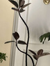 花城水調(diào)黑金剛橡皮樹(shù)客廳綠植大盆栽造型室內(nèi)四季好養(yǎng)辦公室陽(yáng)臺(tái)大型綠植 橡皮樹(shù)1.3-1.5m+白圓瓷盆 曬單實(shí)拍圖