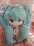 泰利奇初音未來(lái)棉花娃娃 miku20cm二次元同人周邊毛絨公仔節(jié)日禮物 20cm 無(wú)骨裸娃 曬單實(shí)拍圖