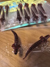 致尊坊桑巴路亞圍裙針尾螺紋浮水軟餌倒釣德州鱸鱖魚(yú)翹嘴螺旋輕舞蟲(chóng)假餌 【浮水濃腥】閃紅5.0cm(14條裝） 曬單實(shí)拍圖
