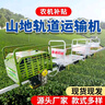 山地果園單軌運(yùn)輸車汽油大馬力自走式運(yùn)輸車農(nóng)用爬坡軌道運(yùn)輸機(jī) 單軌運(yùn)輸車定制專拍 RT-200 曬單實(shí)拍圖
