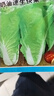 奶油快菜種子種籽四季小白菜菜園陽臺盆栽易種植耐寒耐熱蔬菜種子 奶油快菜種子【1袋】約800粒 曬單實拍圖