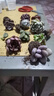 多肉組合盆栽陽臺盆栽喜陽植物新手福利按圖發(fā)貨品種花卉好養(yǎng) A款9種加盆土 曬單實拍圖