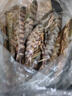 北海灣 新鮮竹節(jié)蝦 鮮活速凍九節(jié)蝦特大斑節(jié)蝦新鮮大蝦對蝦蝦類海鮮水產(chǎn) 特大【20-30只】 1000g(凈重) 曬單實(shí)拍圖