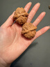 老核農(nóng)悶尖白獅子文玩核桃手把件盤玩古玩核頭特大送父母生日禮物男 40-41mm白獅子（已打底） 曬單實(shí)拍圖