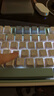阿米洛（Varmilo）機械/靜電容鍵盤 三模/雙模/單模鍵盤 程序員 游戲 辦公 作家打字版鍵盤 VXT81鍵尤加利三模RGB雛菊黃L軸 曬單實拍圖