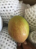 感光之水海南玉菇甜瓜  新鮮水果當季正宗冰淇淋蜜瓜小香瓜 順豐包郵白瓜 精選凈重8-8.8斤【2-5個】超值裝 曬單實拍圖