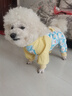 嬉皮狗（hipidog）狗狗防塵褲小型犬四腳衣服防水比熊泰迪遛狗神器戶(hù)外防尿防臟腿套 邦迪藍 XL 曬單實(shí)拍圖
