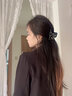 伊黛兒巴黎王妃抓夾水鉆半扎發(fā)夾女春夏氣質(zhì)絕美鯊魚(yú)夾夾子發(fā)飾生日禮物 F3301黑鉆蝴蝶結-小號 曬單實(shí)拍圖