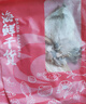 萬景 北海淡干手撕魷魚干 凈重250g/袋(30-35只) 干貨 源頭直發(fā) 曬單實拍圖