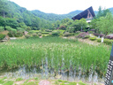 【網(wǎng)紅爆款】商務(wù)腕表石英運(yùn)動(dòng)表休閑皮帶男女手表 黑色【升級(jí)】 曬單實(shí)拍圖
