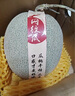 京鮮生 玫瓏網(wǎng)紋蜜瓜 3-4粒 凈重10斤起 單果2.5斤+ 源頭直發(fā) 曬單實(shí)拍圖