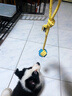 卡通猴小狗狗玩具繩結咬繩泰迪柯基磨牙拔河拖鞋大型犬拉扯繩子球形帶繩 雙色拔河球 狗狗玩具 曬單實(shí)拍圖