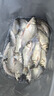達(dá)摩浮漂永村納米漂全水域底釣綜合野釣醒目高靈敏耐用魚漂P01 P02加粗兩目/翹嘴抗風(fēng)浪黑坑野釣 3號(hào) 曬單實(shí)拍圖