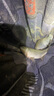 魚漂釣魚浮漂淺水漂遠(yuǎn)投大物高靈敏加粗醒目浮標(biāo)野釣鯽鯉魚漂漁具 CC-02【9目 2目加粗尾】 2號(hào)三支 曬單實(shí)拍圖