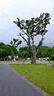 富士（FUJIFILM）GFX100RF 無反中畫幅相機 35mmF4固定鏡頭（1.02億像素 3檔數(shù)碼變焦 僅735g） 銀色 曬單實拍圖