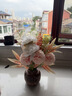 愛已裝糖 手捧花仿真花假花插花束塑料花客廳擺件餐桌裝飾彩虹蒲公英花束 曬單實(shí)拍圖