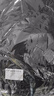 銳富圖（Refutuna）攝影背景布黑色布植絨吸光布遮光背景布直播拍照攝影棚幕布人像靜物產品道具擺件飾品拍攝底布掛布 1.5m*2m黑色吸光背景布 曬單實拍圖
