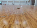 恒星美特運動木地板羽毛球館防滑體育館籃球館舞蹈室楓樺木運動木地板環(huán)保 45度斜鋪結構 片 楓樺木 曬單實拍圖