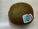 佳沛（zespri）綠奇異果 優(yōu)選大果12粒單果約113-135g  水果禮盒 獼猴桃 曬單實拍圖