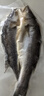 賣魚七郎三去開背海鱸魚凈重2.8斤 共3條去鱗去腮去內(nèi)臟 生鮮魚類海鮮水產(chǎn) 曬單實(shí)拍圖
