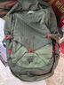 GREGORY格里高利 NANO蜂鳥 旅行男女戶外徒步背包登山包通勤雙肩包20L 20L-火焰綠 曬單實(shí)拍圖