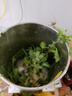 豫滎致富不銹鋼碎菜機養(yǎng)殖喂雞鴨鵝碎草機家用切草機粉碎機豬草碎草機桶式 304不銹鋼碎菜機 2400W送4片刀片 曬單實拍圖