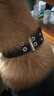 大型犬狗狗項圈寵物用品狗圈頸圈脖圈中型犬金毛德牧脖圍脖套頭套 黑色 中號：寬4.0cm 曬單實(shí)拍圖