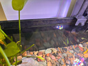 魚缸背景貼紙靜電黑色背景圖 長1米x高30cm【無膠背景貼紙】 曬單實(shí)拍圖