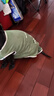 山頭林村寵物衣服出行透氣防曬衫中大型犬背心防臟狗狗衣服夏季薄款貓衣服 3XL胸圍70cm建議20-39斤 曬單實(shí)拍圖