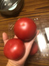 密農(nóng)人家新鮮自然熟西紅柿 農(nóng)家番茄 沙瓤多汁生吃西紅柿番茄 西紅柿 流沙番茄中大果4斤【主推】 曬單實拍圖