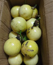 欽蜜9號(hào)黃金百香果當(dāng)季大果新鮮水果鵬貿(mào) 百香果20粒小果活動(dòng) 曬單實(shí)拍圖