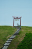 騰龍（Tamron）官方旗艦店B061 18-300mm F/3.5-6.3防抖半畫幅E卡口/X口/Z卡口/RF卡口微單攝影頭騰龍18-300鏡頭 富士X卡口 官方標(biāo)配 【送騰龍UV鏡+閃迪64G卡+ 曬單實拍圖