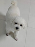 愛(ài)肯拿（ACANA） 狗糧 通用成犬幼犬 經(jīng)典雞肉草原天然犬糧11.4kg效期26/3 曬單實(shí)拍圖