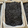 湯臣倍健左旋肉堿茶多酚荷葉片80片（40片*2瓶）減肥瘦身搭檔 曬單實拍圖