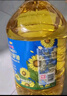 金龍魚 食用油 物理壓榨葵花籽油6.18L 曬單實拍圖