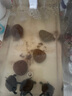 瘋狂水草魚缸過濾器循環(huán)水泵C2三合一循環(huán)過濾增氧系統(tǒng)全套 曬單實(shí)拍圖