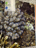 中國珍稀瀕危海洋生物-刺胞動物卷湖北新華書店旗艦店 曬單實拍圖