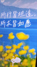 菲耐德  小米9Pro電池（5G）手機(jī)大容量更換通用于換Mi米九BM4H全新內(nèi)置電板換新 真機(jī)實(shí)測(cè)+全套工具+拆機(jī)教程 曬單實(shí)拍圖