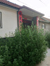 山頭林村帆布手機(jī)包男手機(jī)袋穿皮帶手機(jī)套橫豎款耐磨運(yùn)動(dòng)腰掛工地工作腰包 卡其色（配登山扣） 曬單實(shí)拍圖