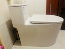 小米米妮馬桶家用虹吸式大沖力節(jié)水靜音坐便器防臭瞬沖大管徑易潔抗菌坐廁 【金榜624款】虹吸-無棱加大管道 250/300/350/400mm坑距咨詢客服 曬單實拍圖