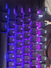 賽睿（SteelSeries）ApexProTKL Gen3三代電競(jìng)磁軸鍵盤(pán) 客制化游戲有線鍵盤(pán) 機(jī)械鍵盤(pán) 打瓦/FPS/無(wú)畏契約 84鍵75配列 曬單實(shí)拍圖